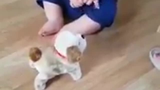 for sure this will be the best video you’ll see today