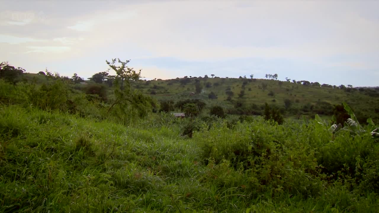 Bunyoro and Buganda