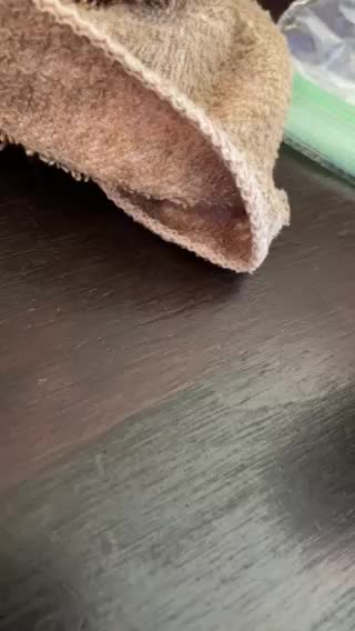 China, Russia, & Iran Election Interference