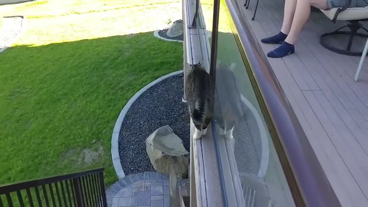 take it easy you will not fall dear