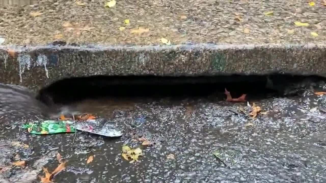 Clear those basins! South Bronx man has great advice to help deal with nor'easter flooding in NYC