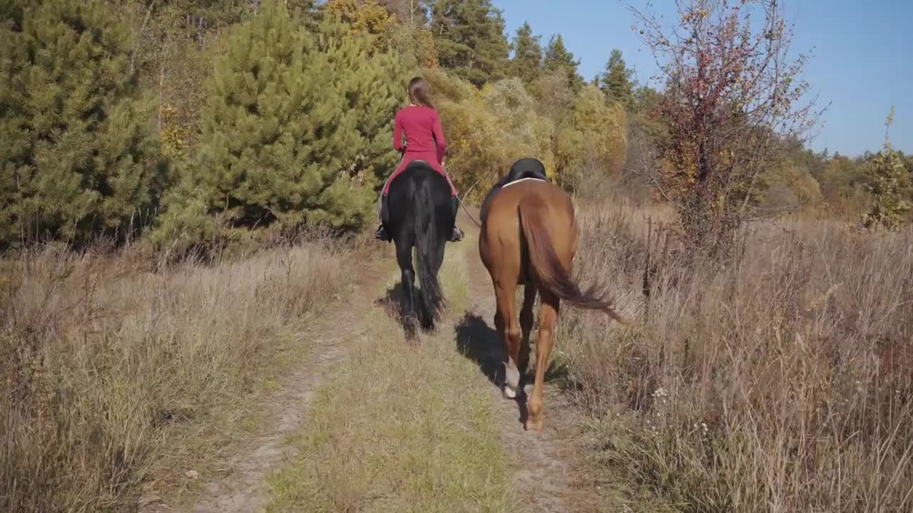 Camera following young Caucasian female equestrian riding