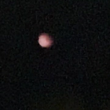 Watching Blood moon