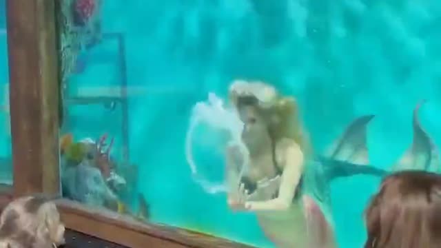 The mermaid