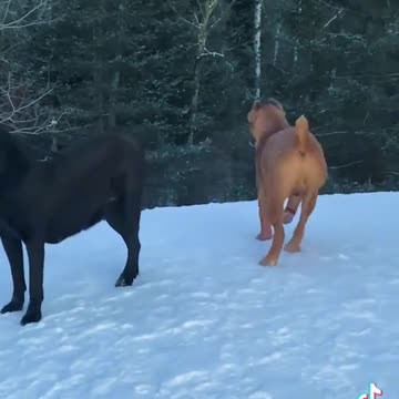 When you need back-up, and youve got back-up!