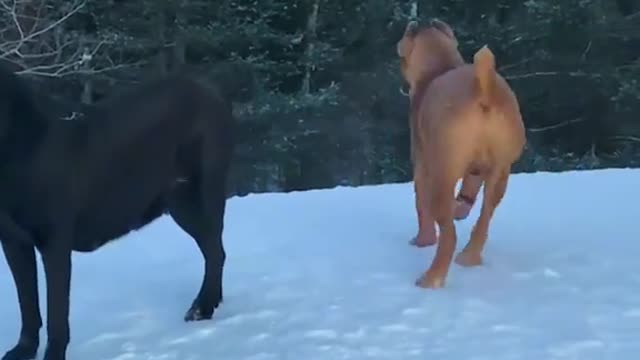 When you need back-up, and youve got back-up!