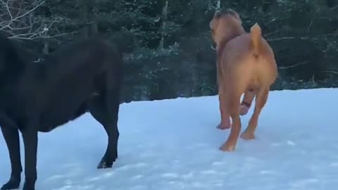 When you need back-up, and youve got back-up!