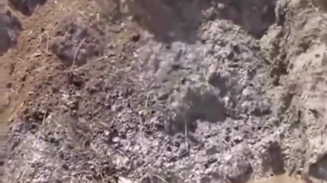 UNLUCKY BUFFALO
