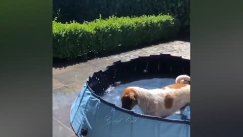 Unusual games in the heat