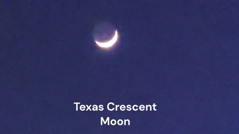 Texas Crescent Moon