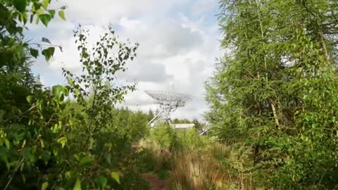 Communications antenna in the distance, seen from the undergrowth