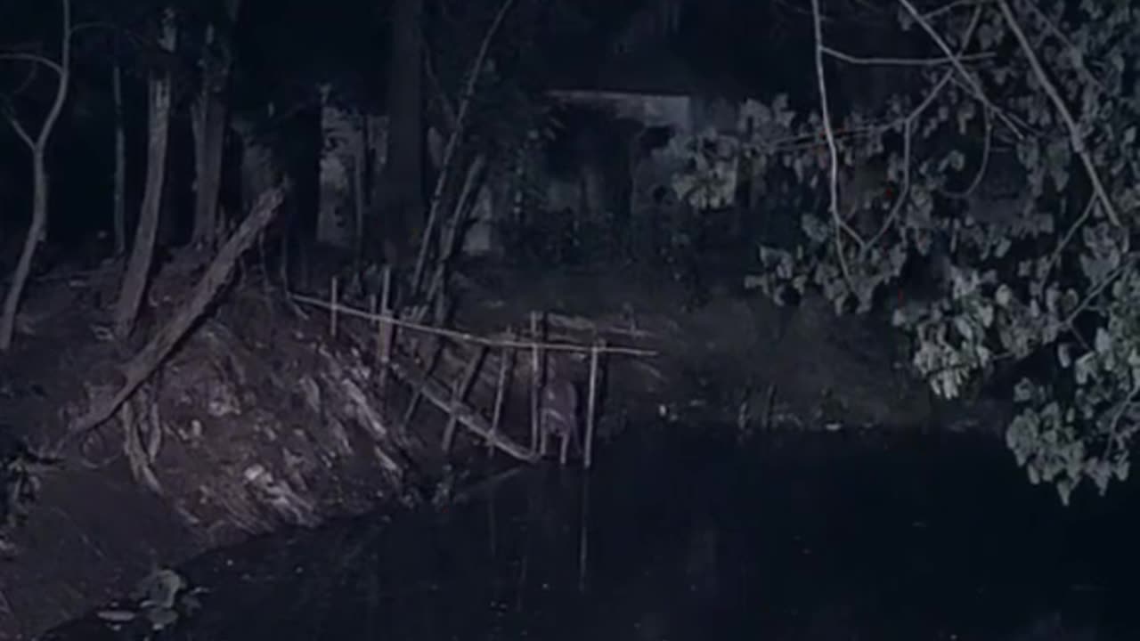 Most horror scene