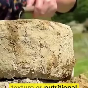 Kanjina is a technique from Northern Afghanistan for preserving fruits naturally for up to a year.