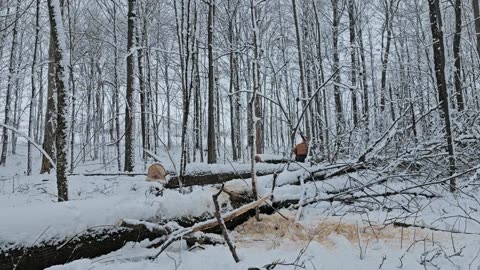 Skidding With A Farm Tractor