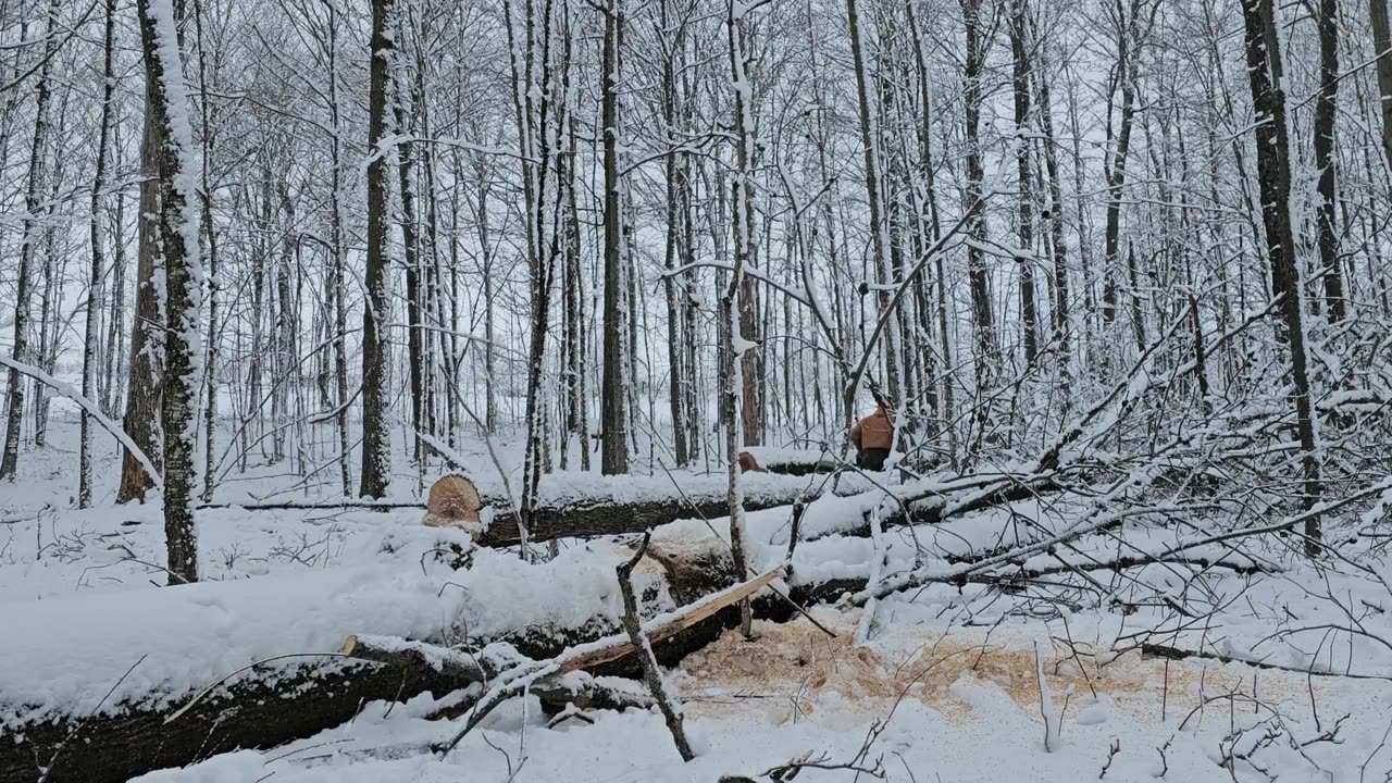 Skidding With A Farm Tractor