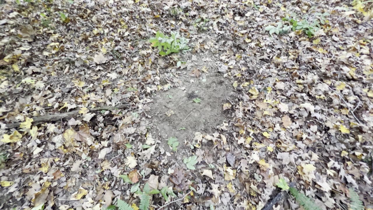 12/17 Found scrape #2 +rub