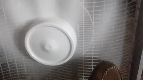 My foot in the fan