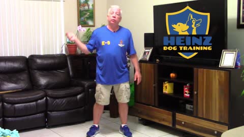 Basic dog training | How to train dog