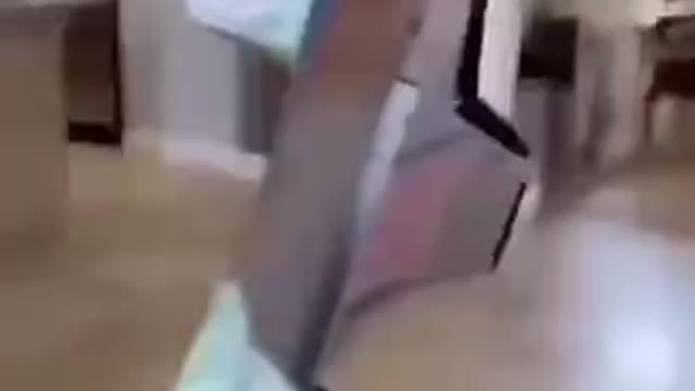 Most Impressive 3D Dragon Ever