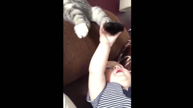 Cute cats and kids