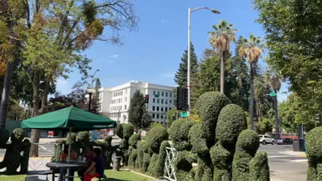 Live - Patriot Pride Month - Sacramento Ca