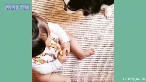 Cute Dogs and Babies are Best Friends - Funny Pet Videos