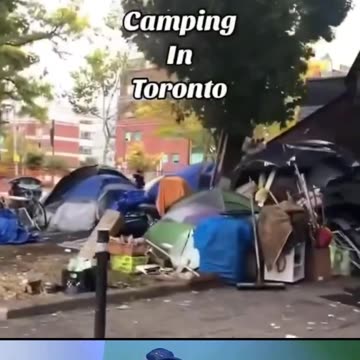 Man who wants to relocate to canada is now having second thought after seeing this