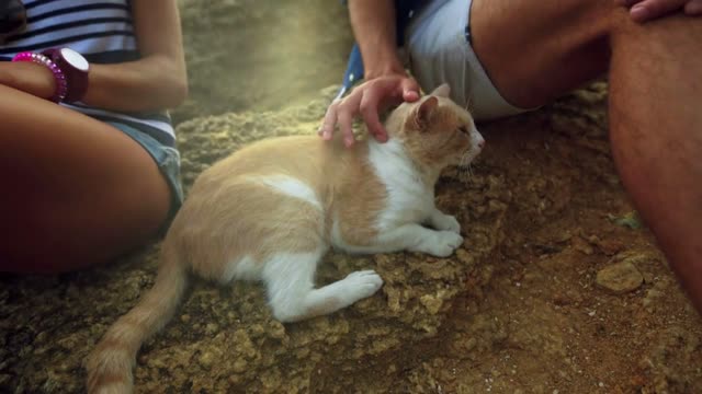Close up of two young people sitting on the stone, man caressing red cat