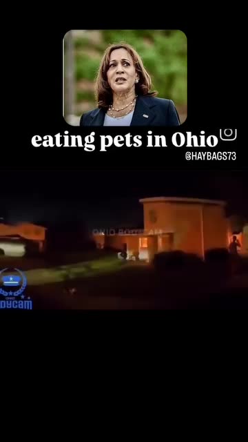 THEY WITNESSED MIGRANT EATING A CAT
