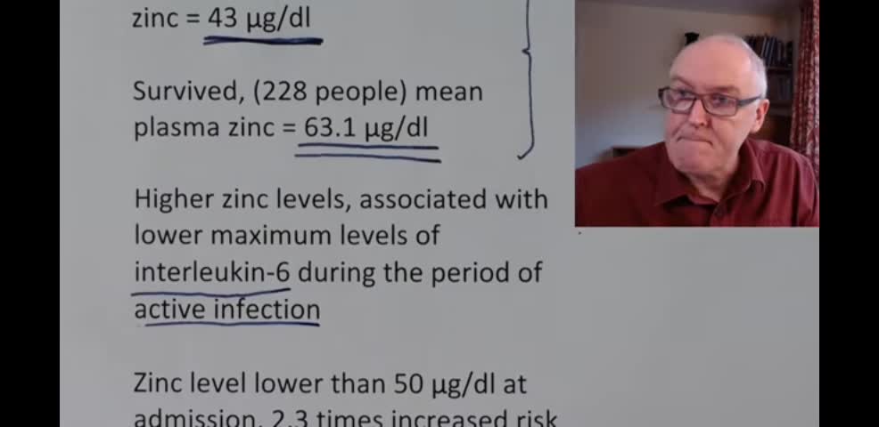 Dr. John Campbell discusses the importance of zinc in defense of covid-19 SARS2.