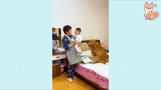 How to watch the dog for the baby