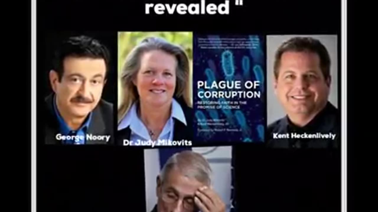 PLAGUE OF CORRUPTION by Dr Judy Mikovits