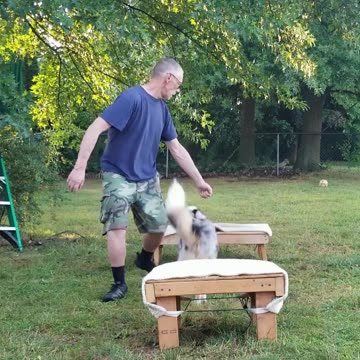 Back to the Basics: Stop , Back, Figure Six cut 13