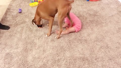 Dogs And Human Babies