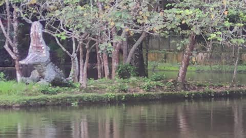 Pedal boat at the zoo of VR/Brasil.