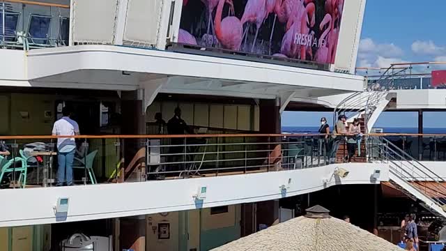 Carvinal Breeze