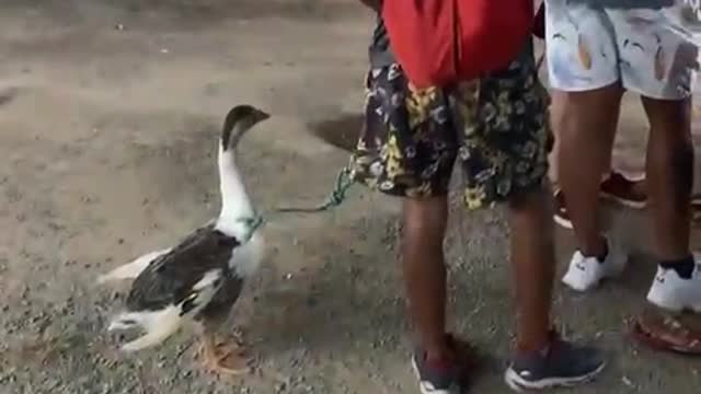 I've seen it all now, no