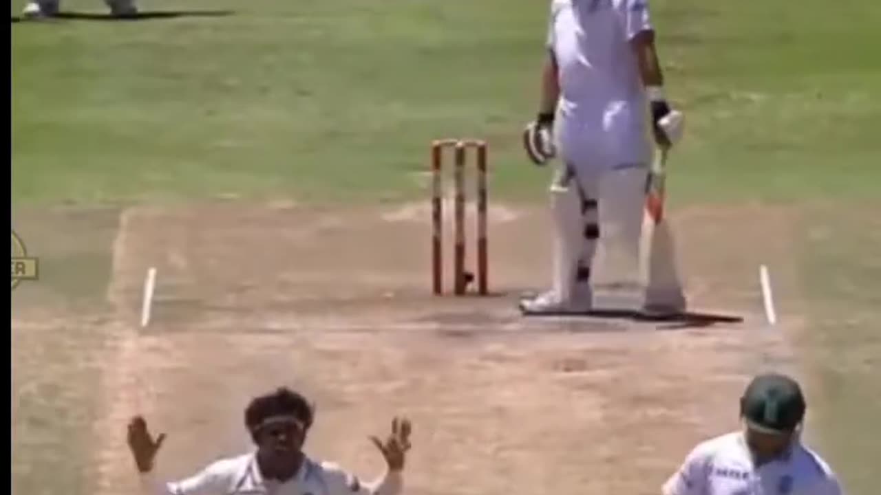 Funny Cricket Videos