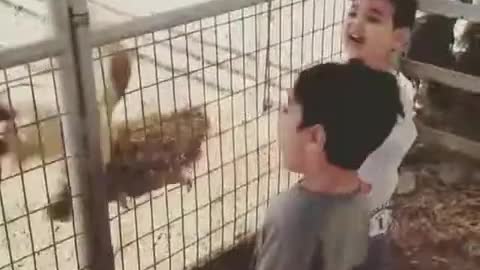 funny kids with animal