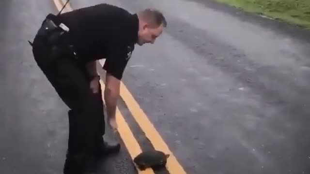Turtle wasn't messing with the police polícia but the police escaped