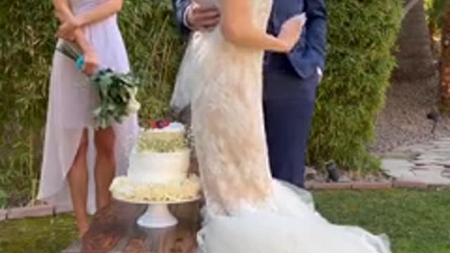 Mean bride sits on the wedding cake