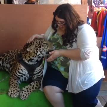 Leopard Wants To Be More Than Friends