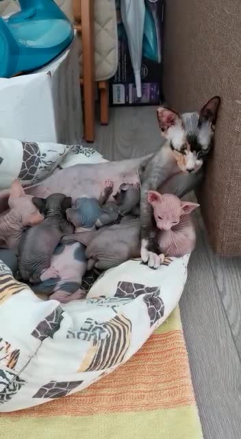 It's just madness!!!