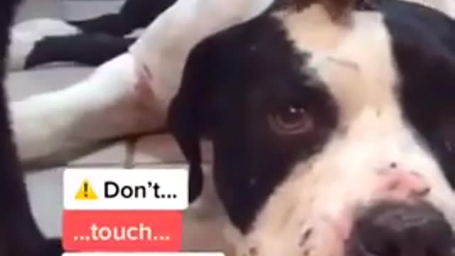 Don't u dare to touch him....!!!