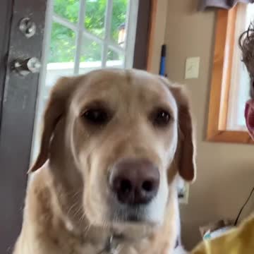 “Im not doing it”….. 😭😂