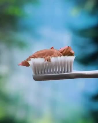 Baby comes out of toothpaste