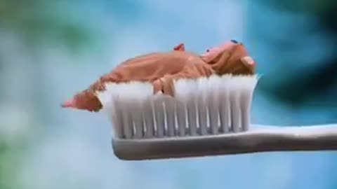 Baby comes out of toothpaste