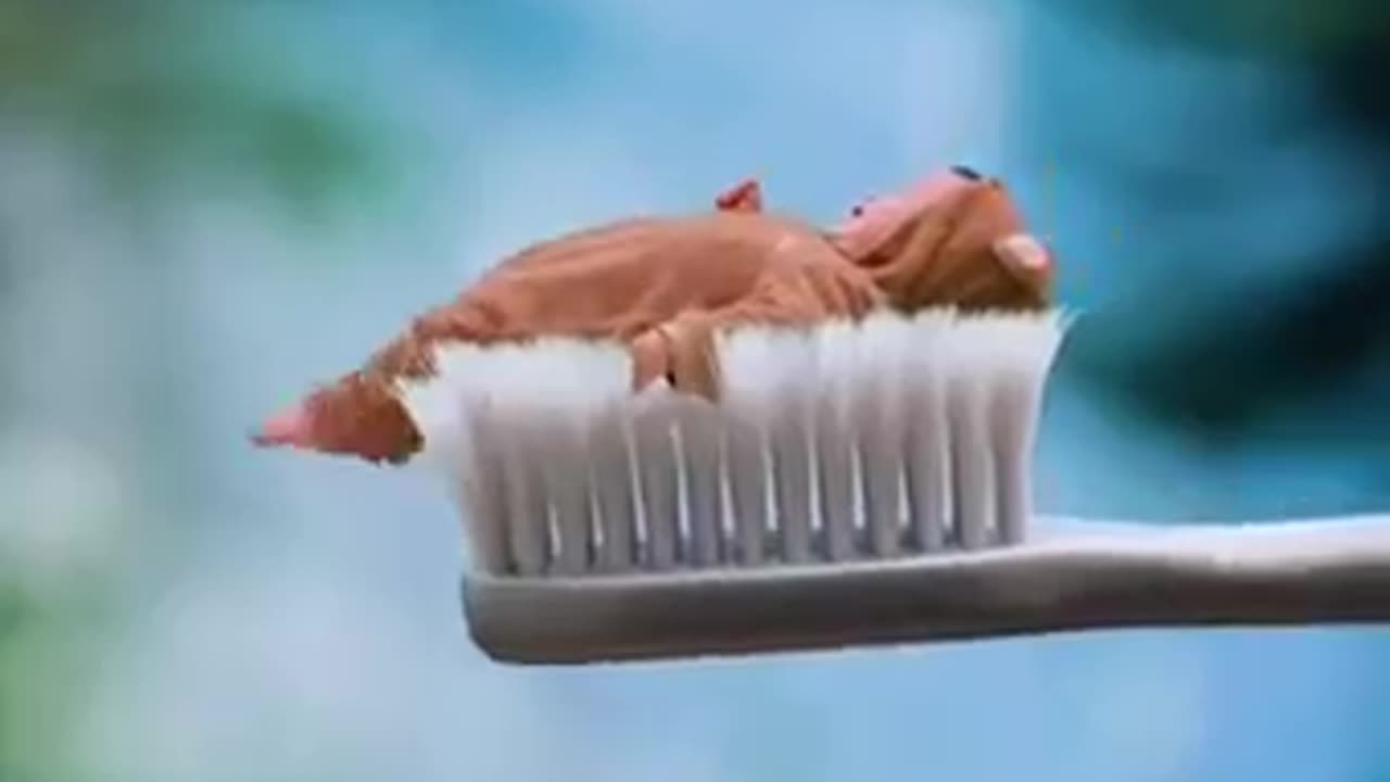 Baby comes out of toothpaste