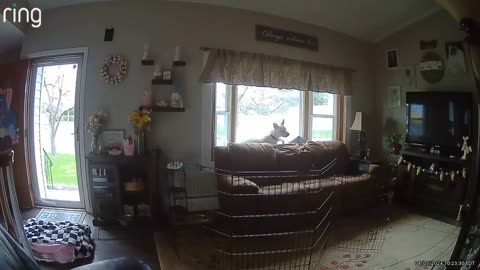 Video captures intense shaking of a house during the 4.8 magnitude earthquake in NJ