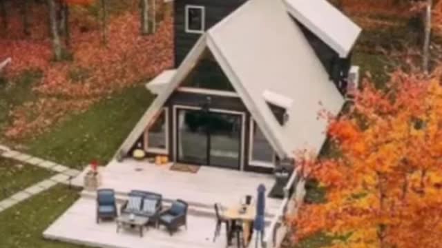 Стрим грузинский - 28.01.2022